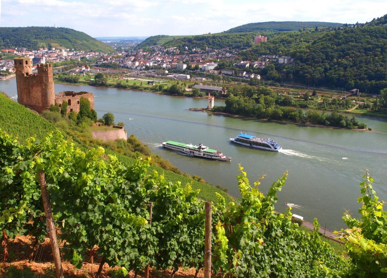 Weinhotel Des Riesling Zum Gruenen Kranz Rüdesheim am Rhein Exteriör bild