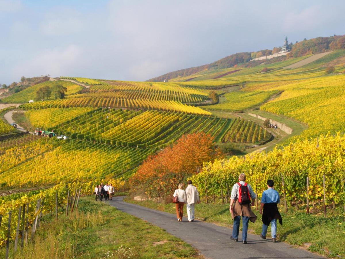 Weinhotel Des Riesling Zum Gruenen Kranz Rüdesheim am Rhein Exteriör bild