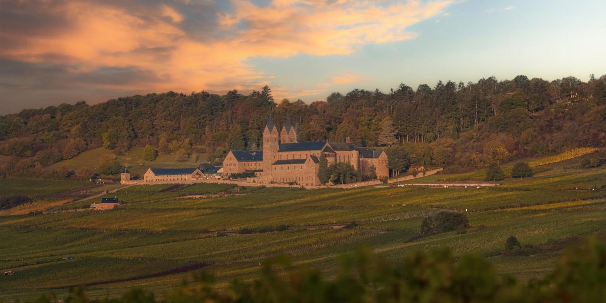 Weinhotel Des Riesling Zum Gruenen Kranz Rüdesheim am Rhein Exteriör bild